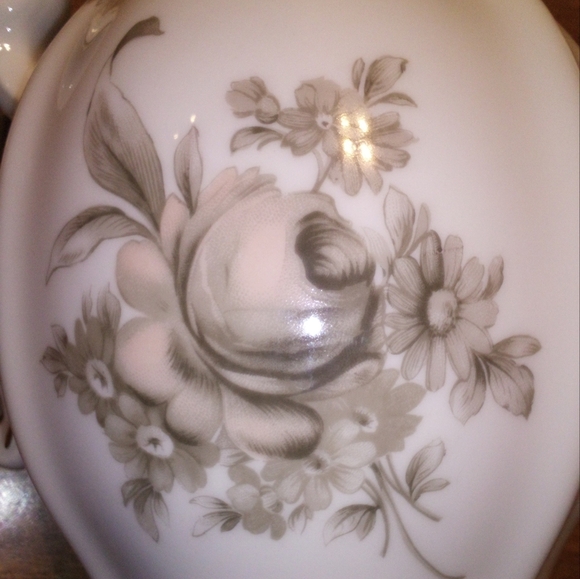 Johann Haviland Vintage Bavaria Germany Sepia Rose Dual Function Coffee/Tea Pot - Picture 4 of 15